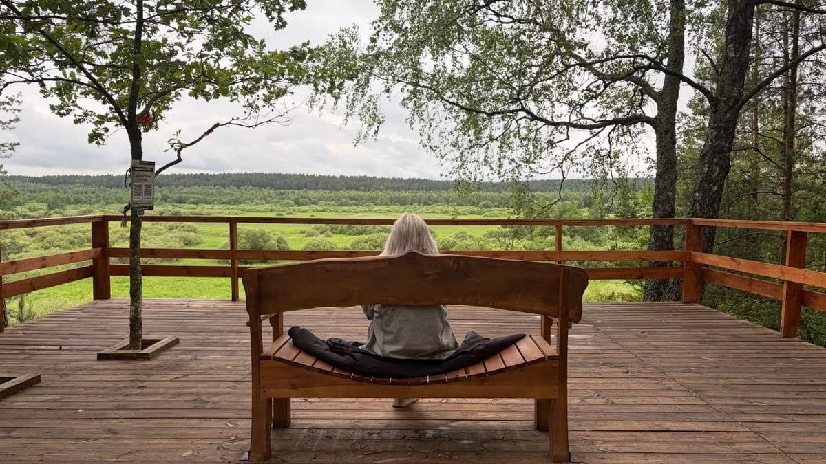 A serene moment captured from a wooden deck, facing a vibrant green countryside horizon.
